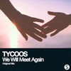 Thumbnail for the Tycoos - We Will Meet Again link, provided by host site