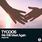 Thumbnail for the Tycoos - We Will Meet Again link, provided by host site
