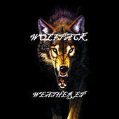 Thumbnail for the Wolfpack - Weather link, provided by host site