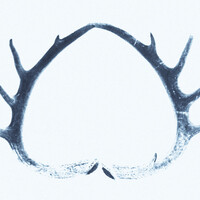 Thumbnail for the Conor Oberst - Weather Reports link, provided by host site