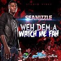 Thumbnail for the Seanizzle - Weh Dem a Watch Me Fah link, provided by host site