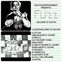 Thumbnail for the Fuzz - Welcome to the Pin link, provided by host site