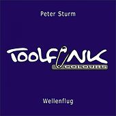 Thumbnail for the Peter Sturm - Wellenflug link, provided by host site
