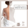 Thumbnail for the Levantis - Wellness link, provided by host site