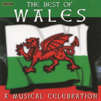 Thumbnail for the The Band Of The Welsh Guards - Welsh Airs And Fancies link, provided by host site