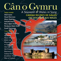 Thumbnail for the Elinor Bennett - Welsh Airs (Harp Duo) link, provided by host site