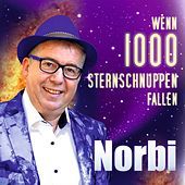 Thumbnail for the Norbi - Wenn 1000 Sternschnuppen fallen link, provided by host site