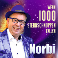 Thumbnail for the Norbi - Wenn 1000 Sternschnuppen fallen link, provided by host site