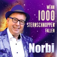 Thumbnail for the Norbi - Wenn 1000 Sternschnuppen fallen link, provided by host site