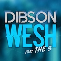 Thumbnail for the Dibson - Wesh link, provided by host site
