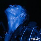 Thumbnail for the Teesy - Wesley link, provided by host site