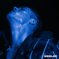 Thumbnail for the Teesy - Wesley link, provided by host site
