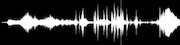 Thumbnail for the Ween - Westville Music Bowl link, provided by host site