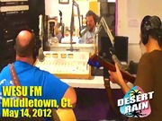 Thumbnail for the Desert Rain - WESU FM link, provided by host site