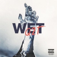 Thumbnail for the Q2T - Wet link, provided by host site