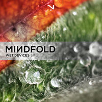 Image of Mindfold linking to their artist page due to link from them being at the top of the main table on this page