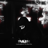 Thumbnail for the Pain - Wet Graves link, provided by host site