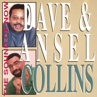Thumbnail for the Dave Barker - Wet Version link, provided by host site