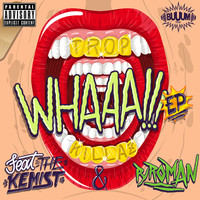 Thumbnail for the Tropkillaz - Whaaa! link, provided by host site