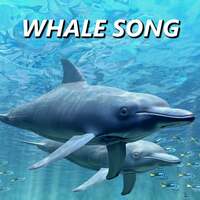 Thumbnail for the Whale Song - Whale Song link, provided by host site