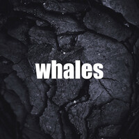 Thumbnail for the Whale Song - Whales link, provided by host site
