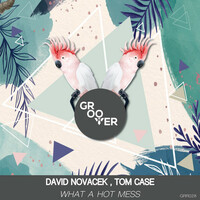Thumbnail for the David Novacek - What A Hot Mess link, provided by host site