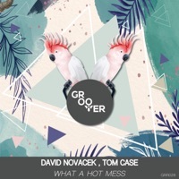 Thumbnail for the David Novacek - What a Hot Mess link, provided by host site