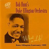 Thumbnail for the Bob Hunt - What A Life! link, provided by host site