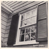Thumbnail for the Beach Fossils - What a Pleasure link, provided by host site