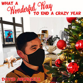 Thumbnail for the David Archuleta - What a Wonderful Way to End a Crazy Year link, provided by host site