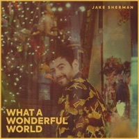 Thumbnail for the Jake Sherman - What a Wonderful World link, provided by host site