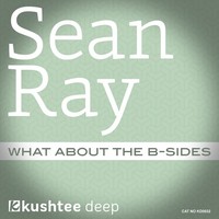 Thumbnail for the Sean Ray - What About The B-Sides link, provided by host site