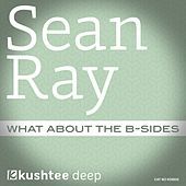 Thumbnail for the Sean Ray - What About The B-Sides link, provided by host site