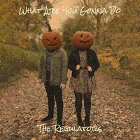 Thumbnail for the the Regulators - What Are You Gonna Do link, provided by host site