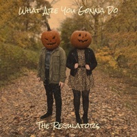 Thumbnail for the the Regulators - What Are You Gonna Do link, provided by host site