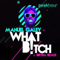 Thumbnail for the Manuel Galey - What B*tch link, provided by host site