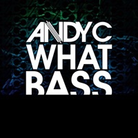 Thumbnail for the Andy C - What Bass link, provided by host site