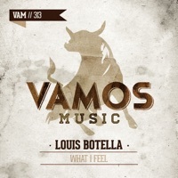 Thumbnail for the Louis Botella - What I Feel link, provided by host site