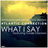 Thumbnail for the Atlantic Connection - What I Say / Watermelon (Sinistarr's Synthetic Fruit Mix) link, provided by host site