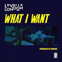 Thumbnail for the Levelle London - What I Want link, provided by host site