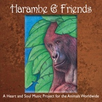 Thumbnail for the Stan Williams - What in the World link, provided by host site