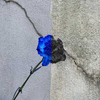 Thumbnail for the Aloe Blacc - What is Love link, provided by host site