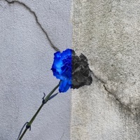 Thumbnail for the Aloe Blacc - What is Love link, provided by host site