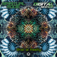 Thumbnail for the Spiritual Mode - What is Reality link, provided by host site