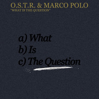 Thumbnail for the O.S.T.R. - What Is the Question link, provided by host site