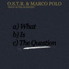 Thumbnail for the O.S.T.R. - What Is the Question link, provided by host site