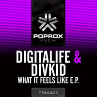 Thumbnail for the Digitalife - What It Feels Like link, provided by host site