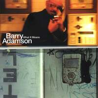Thumbnail for the Barry Adamson - What It Means link, provided by host site
