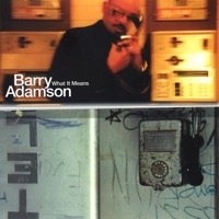 Thumbnail for the Barry Adamson - What It Means (Radio Edit) link, provided by host site