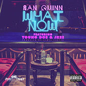 Thumbnail for the San Quinn - What Now link, provided by host site
